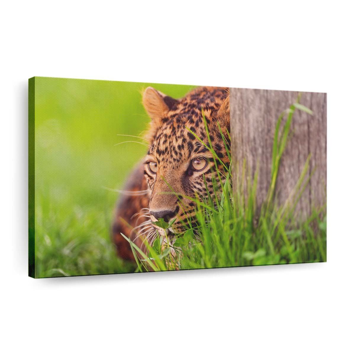 leopard looking wallpaper