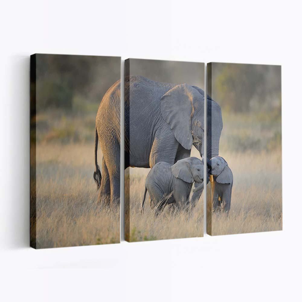 african elephants mother and adorable babies wallpaper
