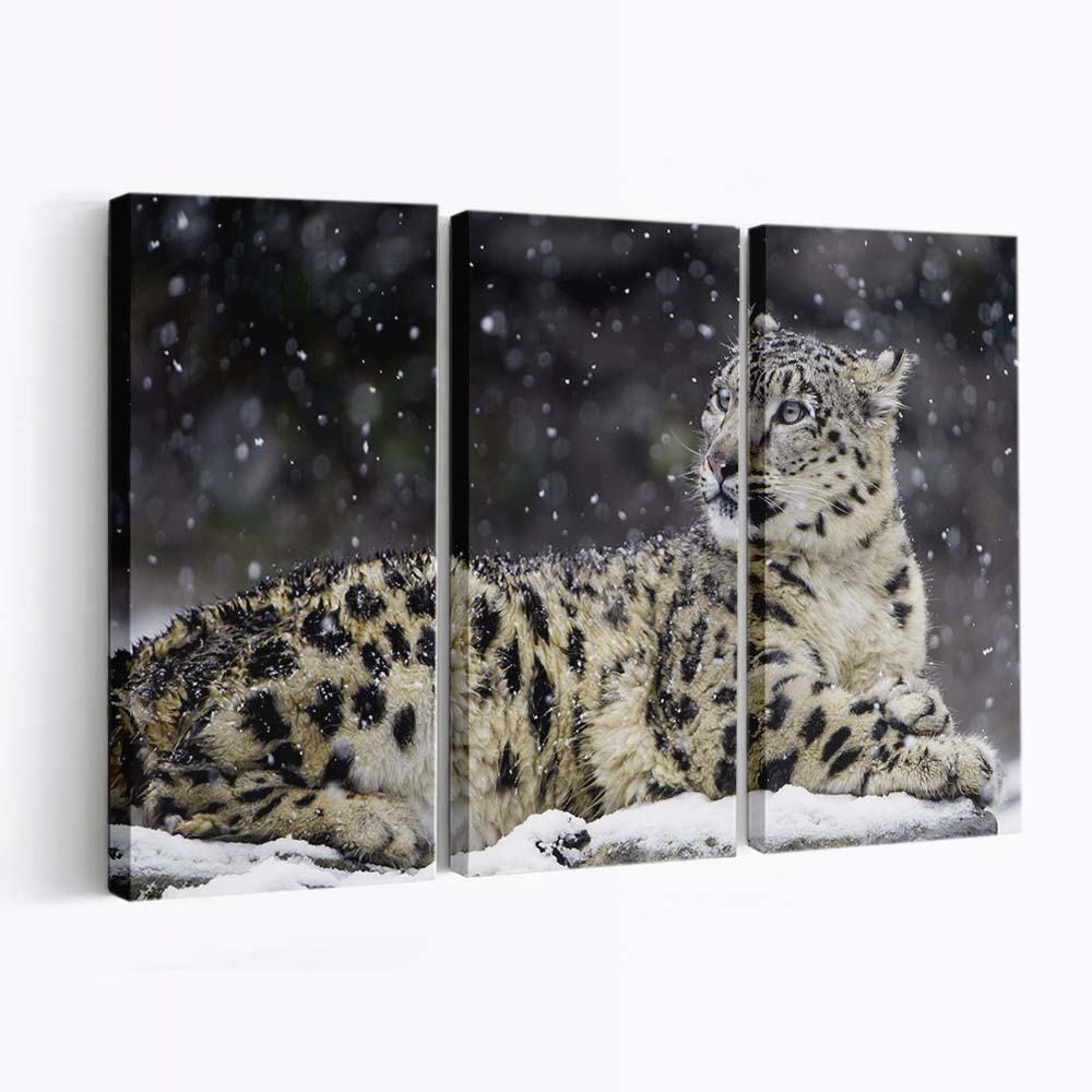 beautiful snow leopard wild animal snowflakes winter wallpaper
