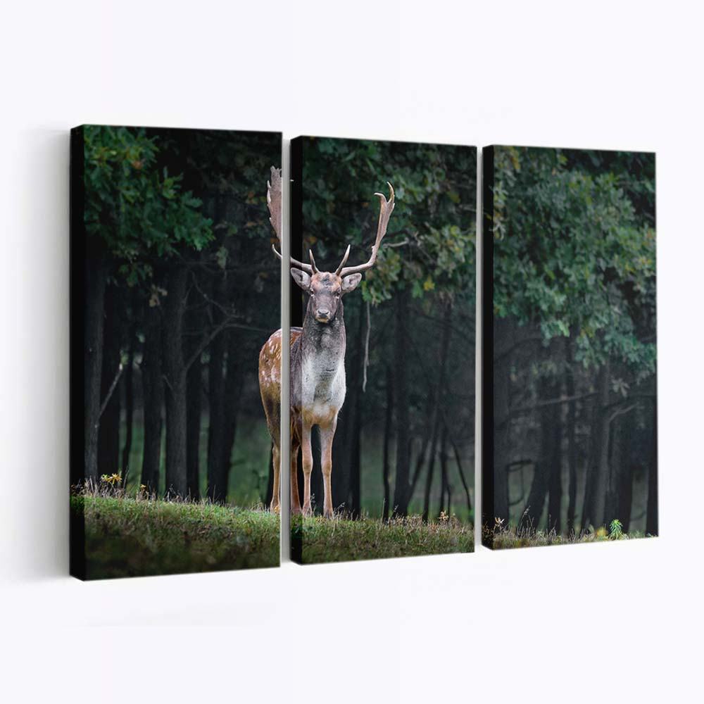 stag wallpaper