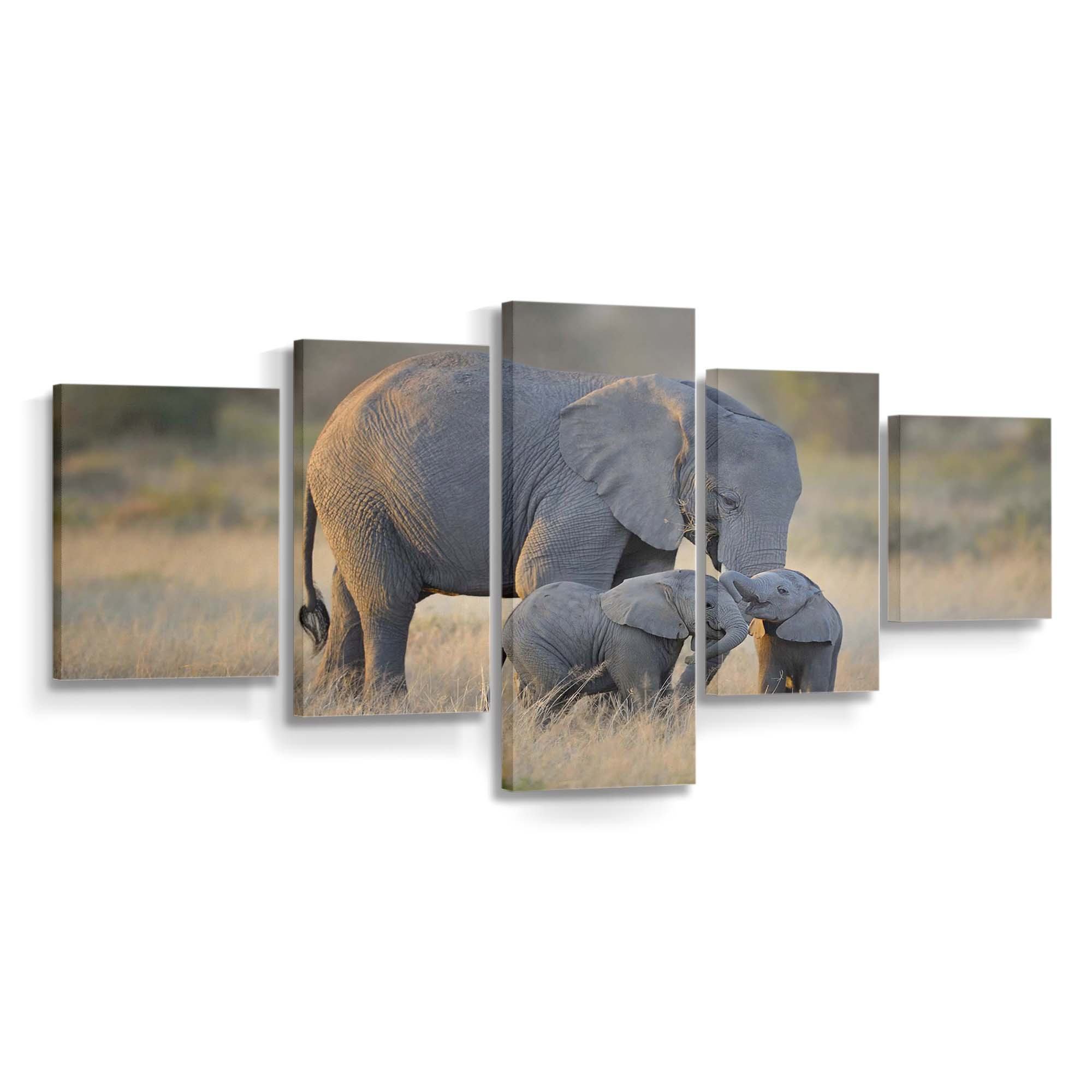 african elephants mother and adorable babies wallpaper