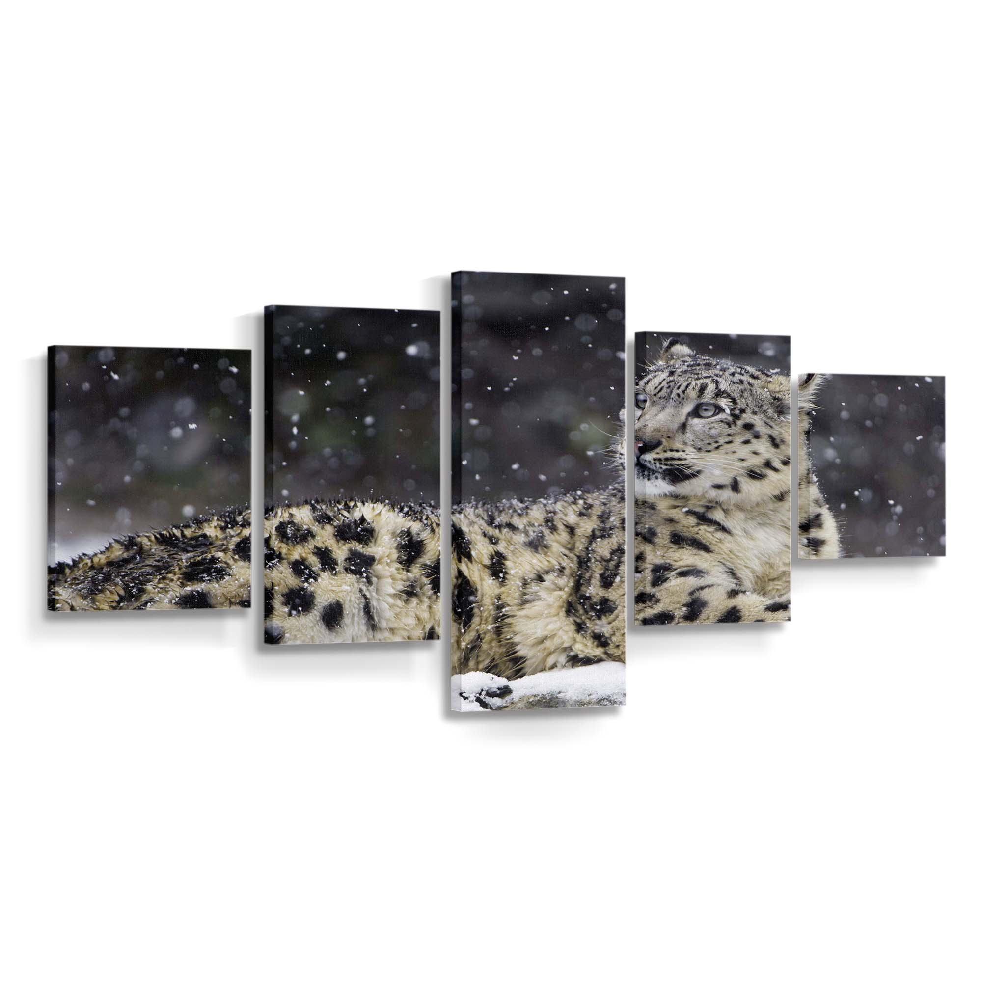 beautiful snow leopard wild animal snowflakes winter wallpaper
