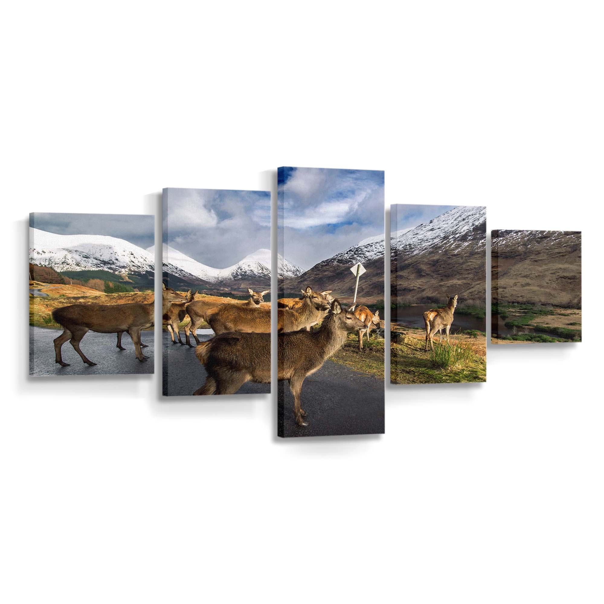 glen etive stags wallpaper