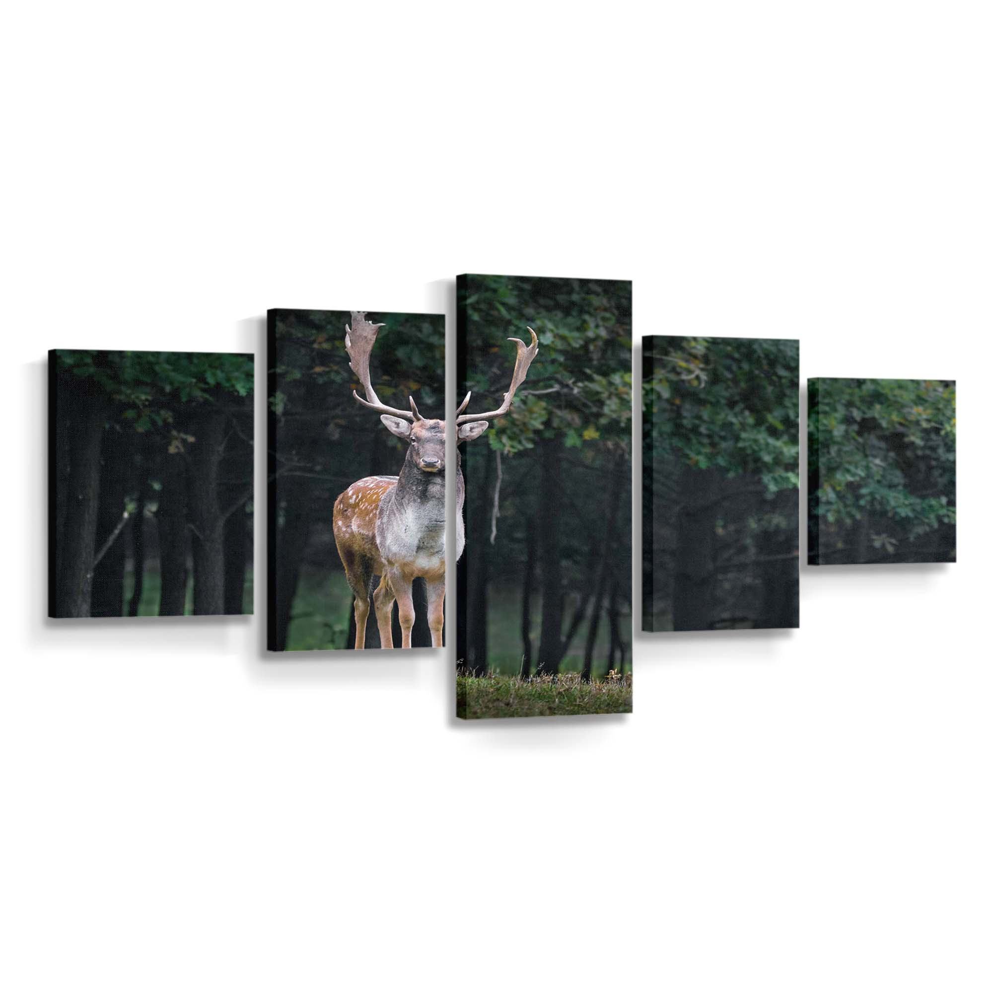 stag wallpaper