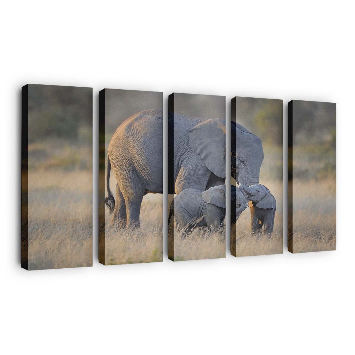 african elephants mother and adorable babies wallpaper