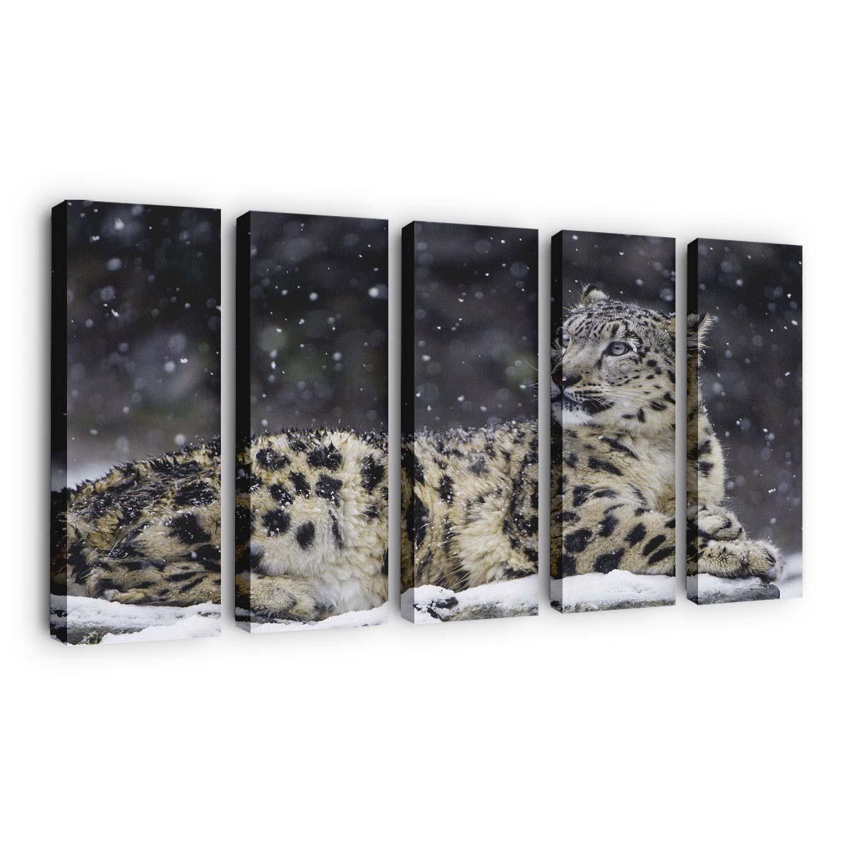 beautiful snow leopard wild animal snowflakes winter wallpaper