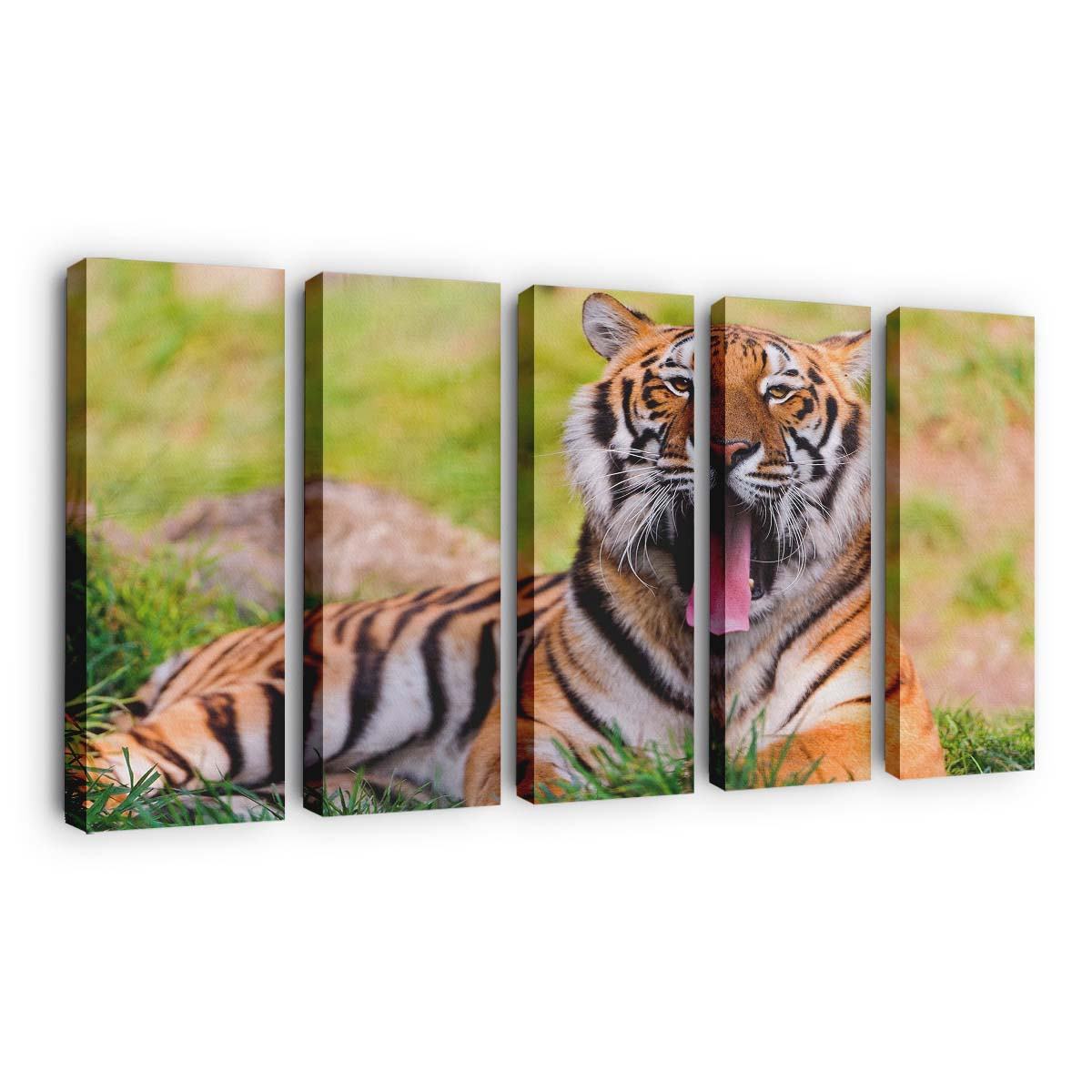 bengal tiger lying in the grass and yawning wallpaper