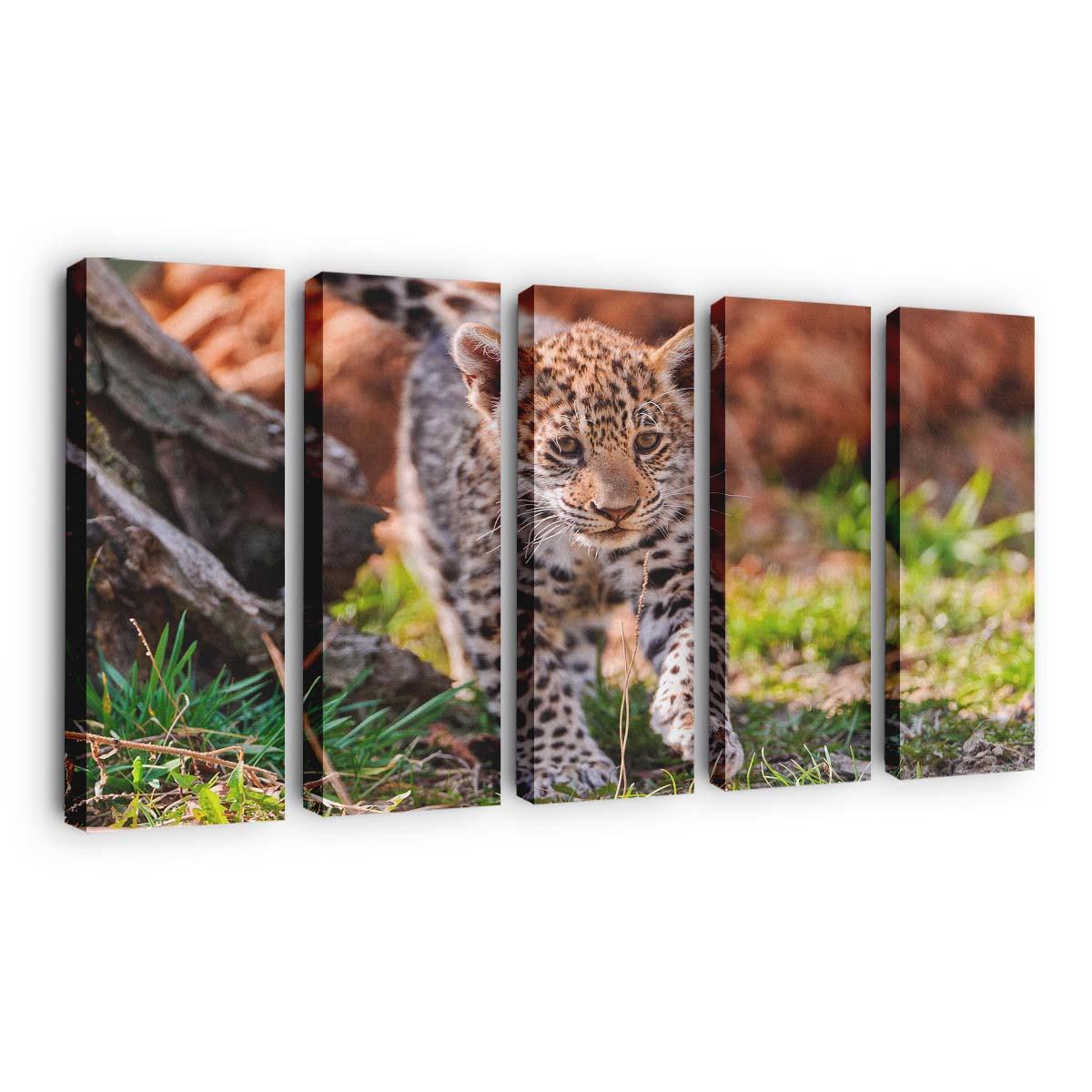 jaguar cub karlova ves bratislava bratislavsky sk wallpaper