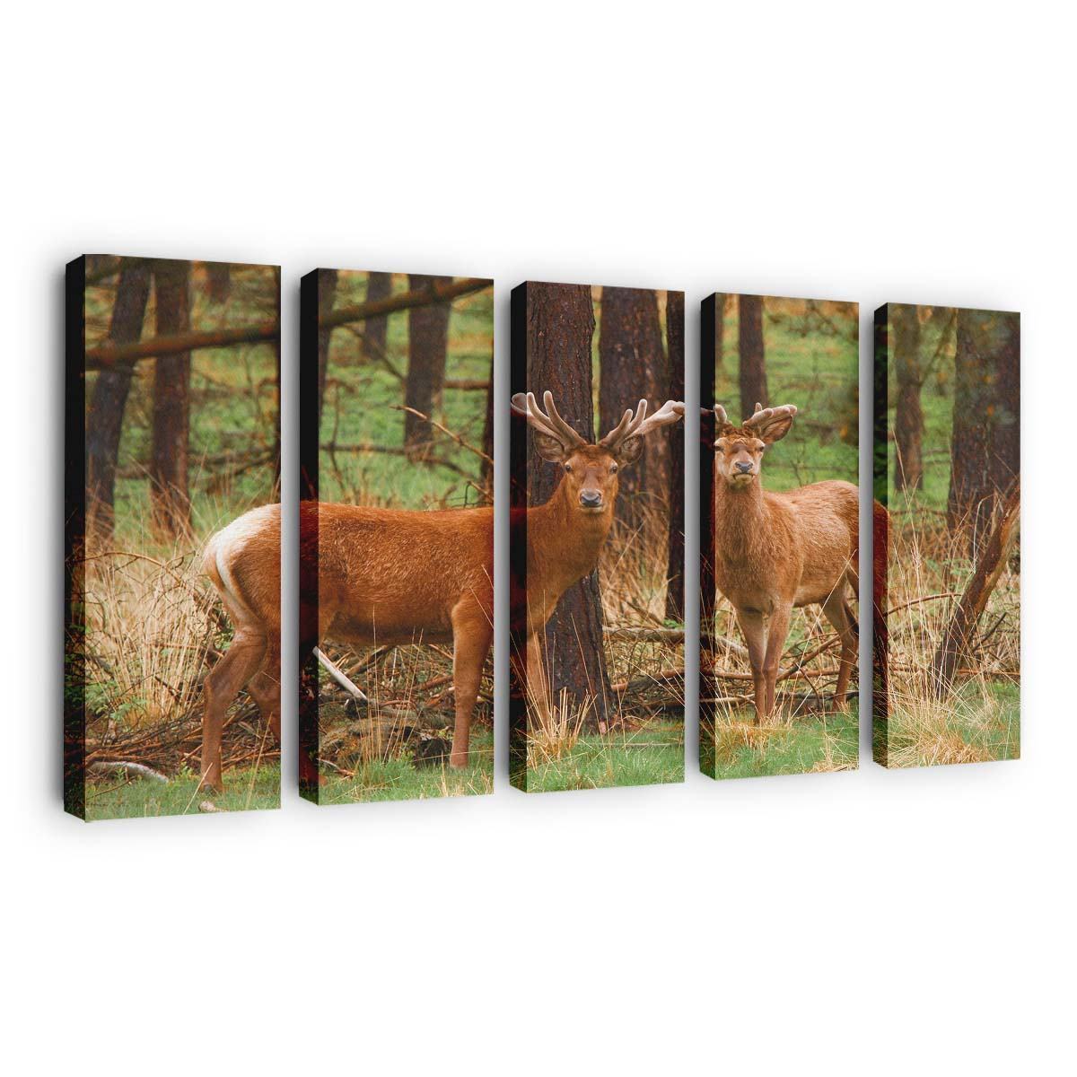 red deer stags wallpaper
