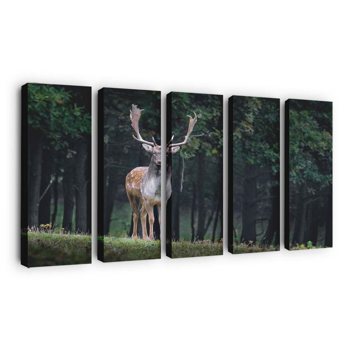 stag wallpaper