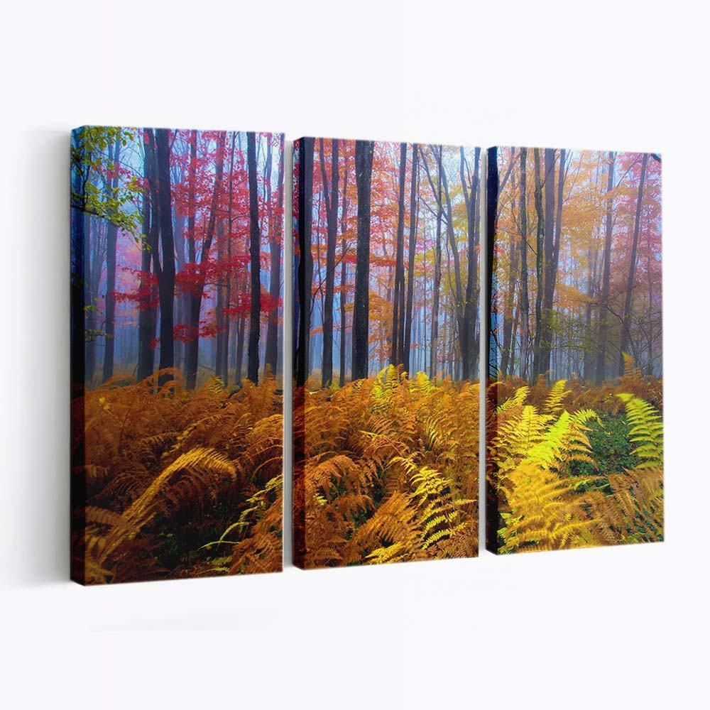 beautiful colored trees wallpaper