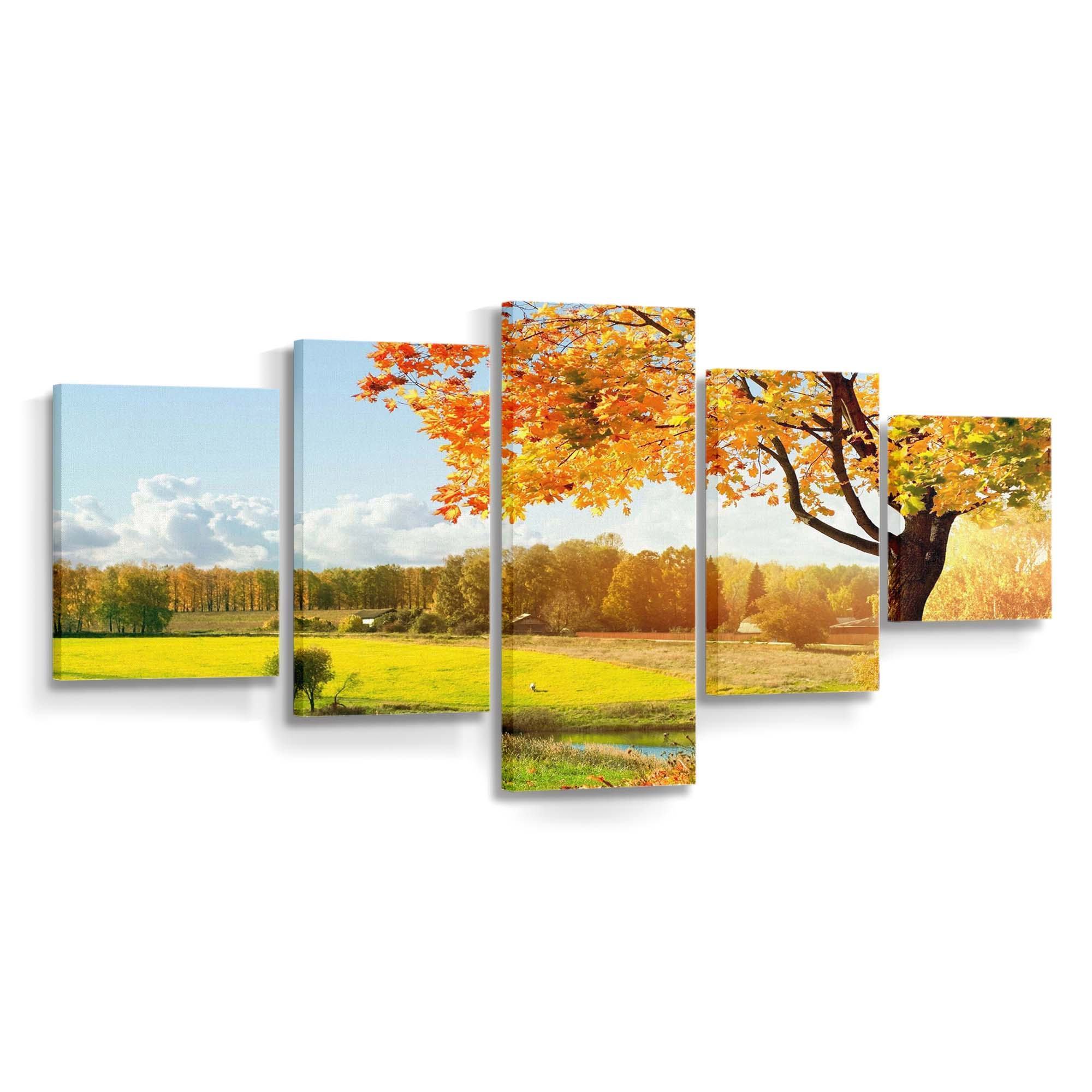 a beautiful view of colorful autumn trees wallpaper