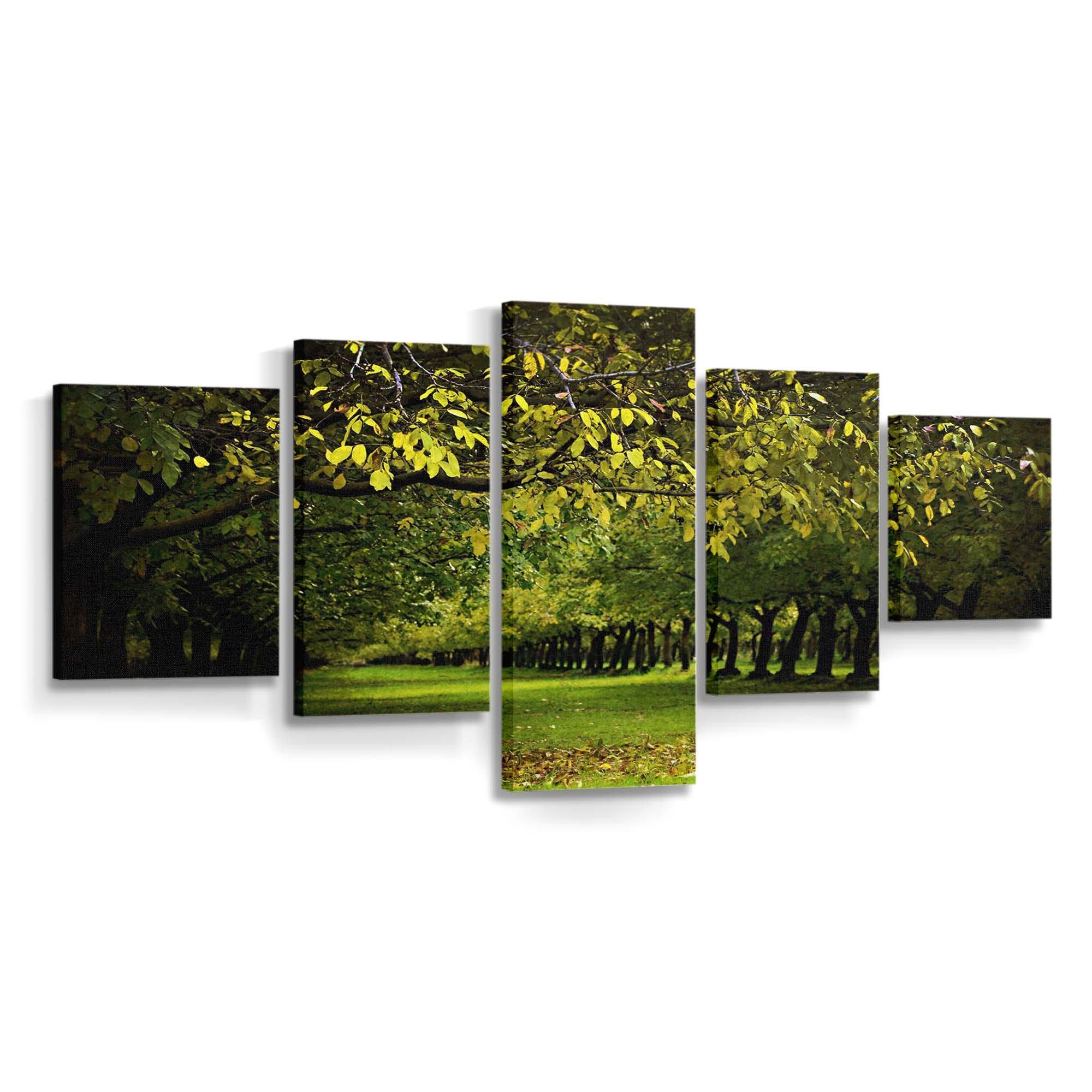 a walnut orchard in the fall wallpaper