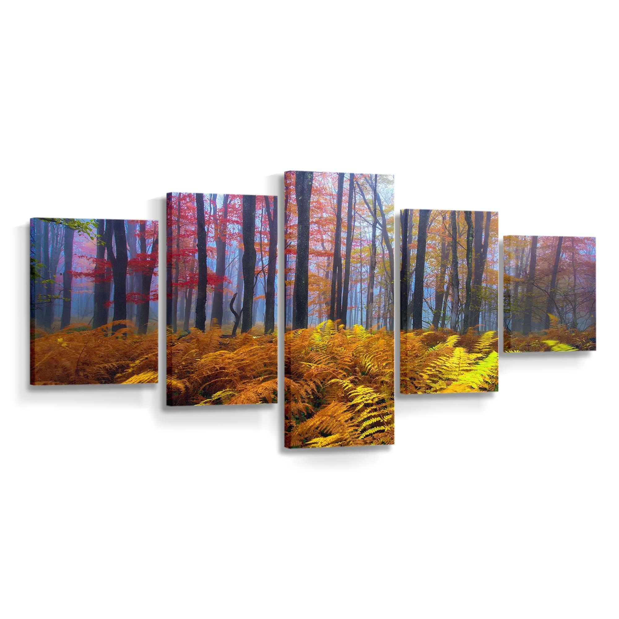 beautiful colored trees wallpaper