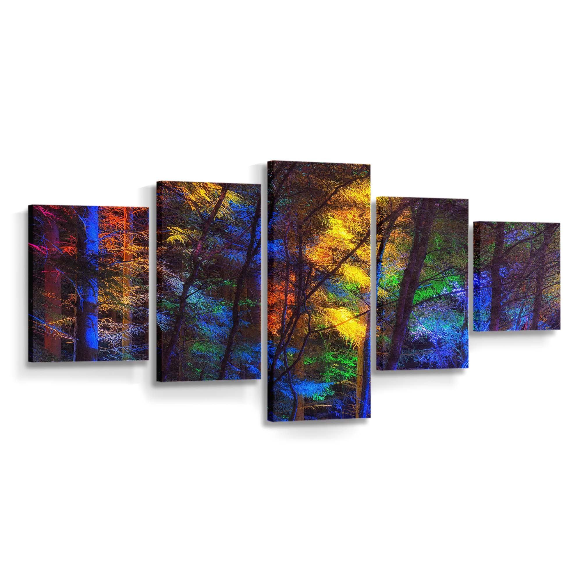 colorful forest trees wallpaper