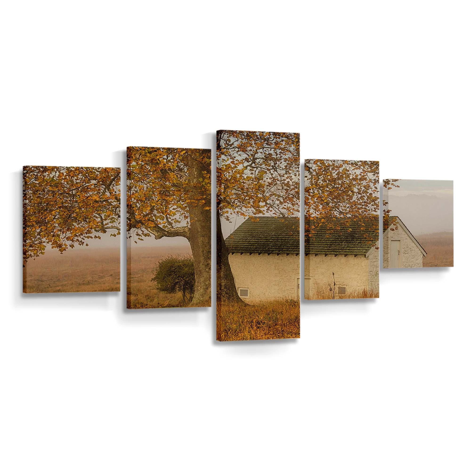 fall colors contryside wallpaper