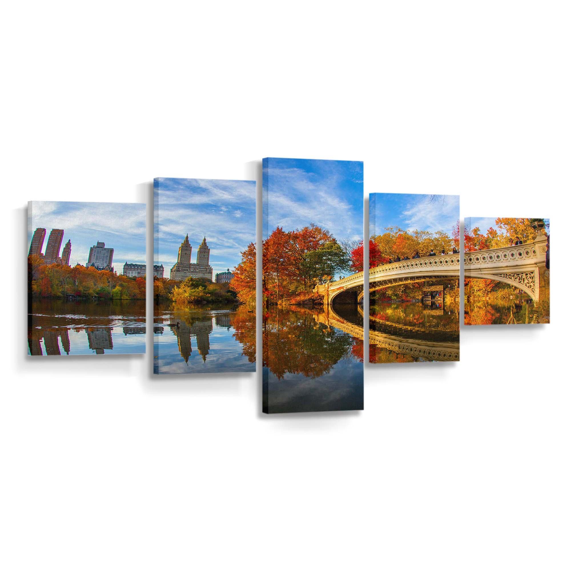 fall foliage in central park new york city wallpaper