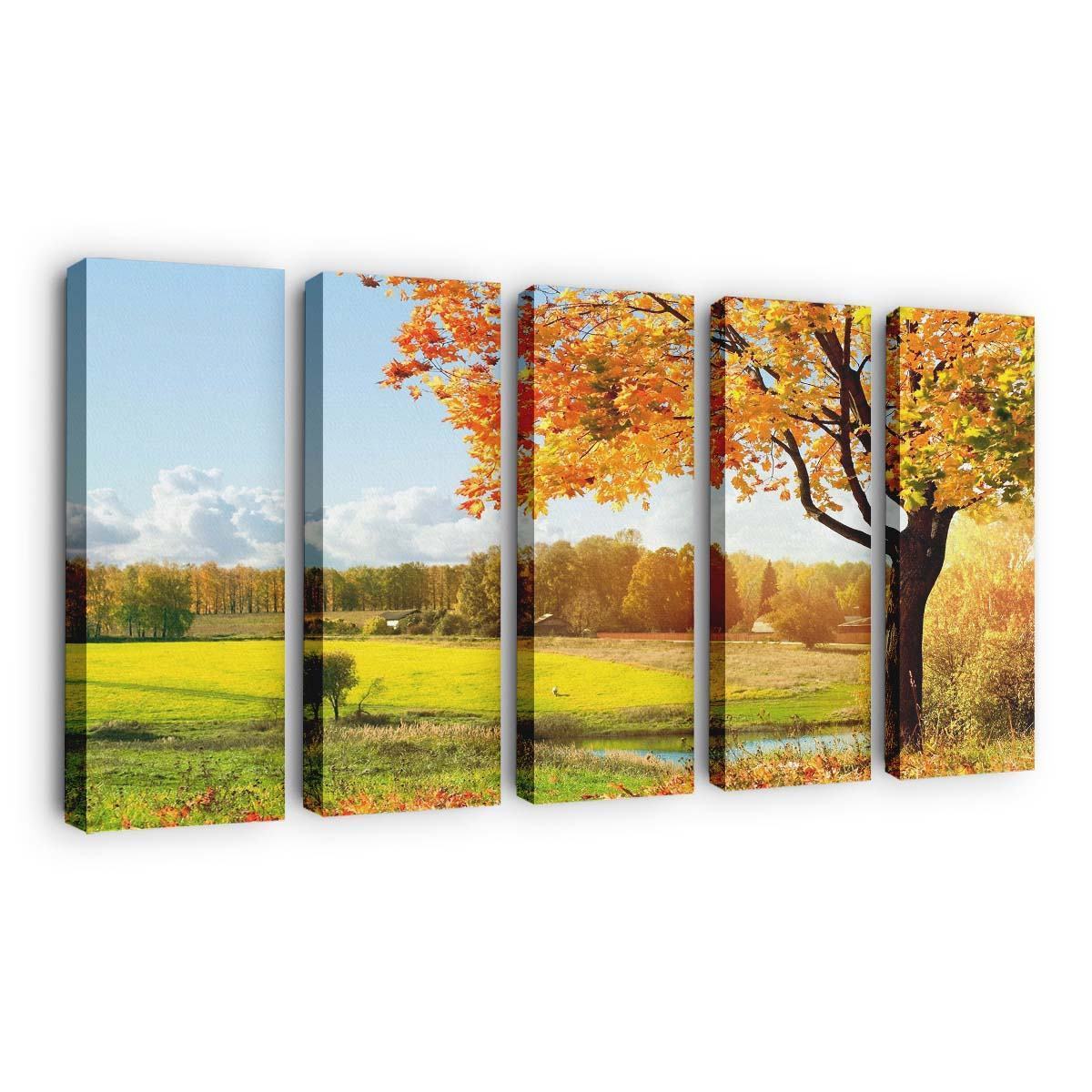 a beautiful view of colorful autumn trees wallpaper