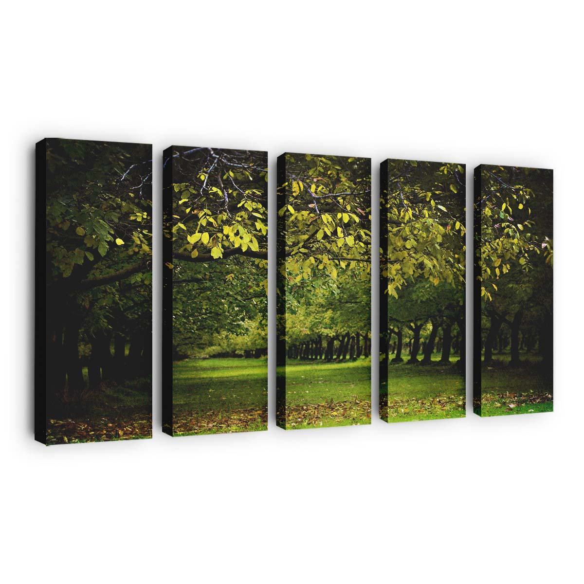 a walnut orchard in the fall wallpaper