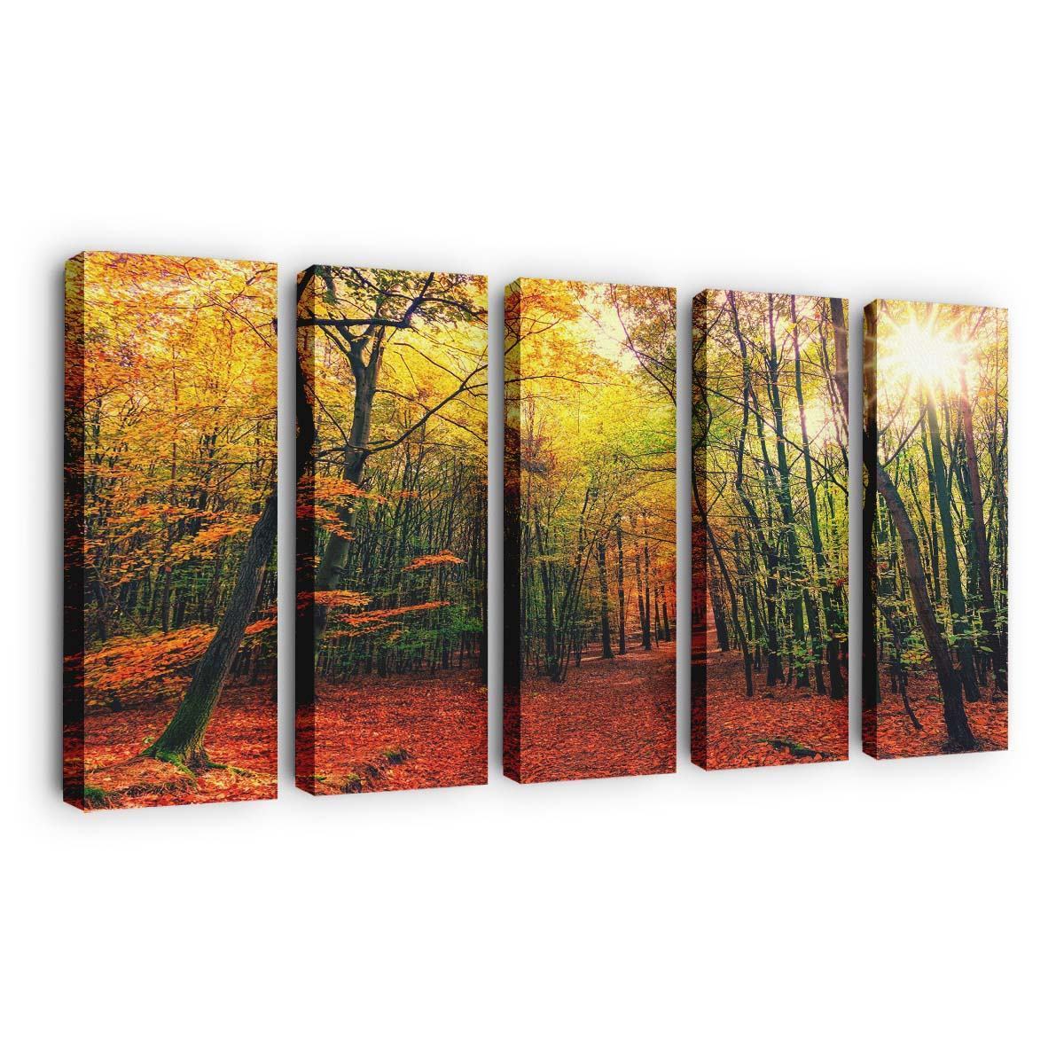 beautiful autumn colors forest path sunny day wallpaper