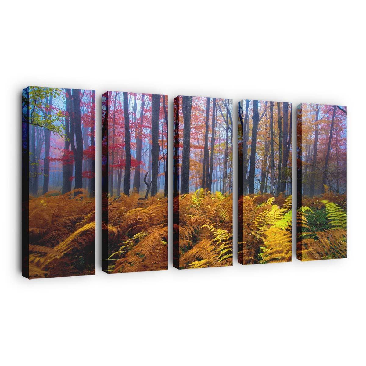 beautiful colored trees wallpaper