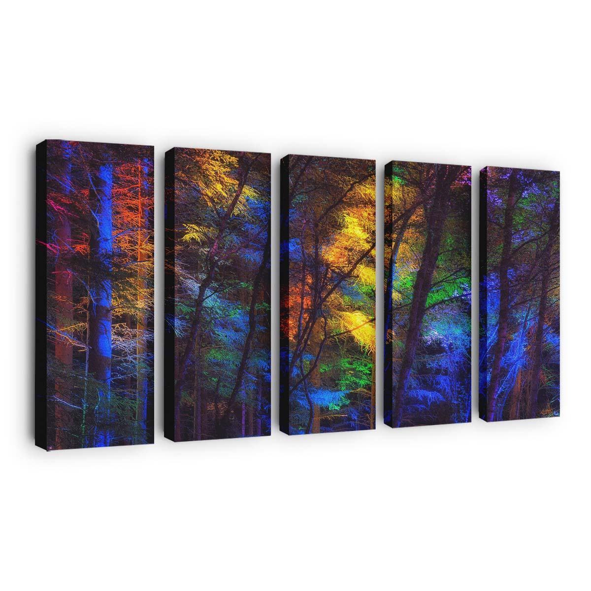 colorful forest trees wallpaper
