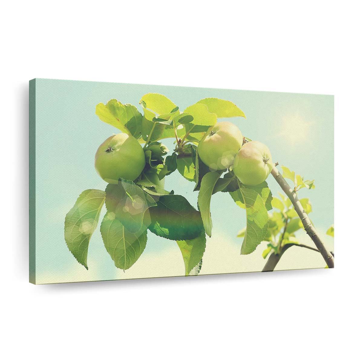 apple tree 3 wallpaper