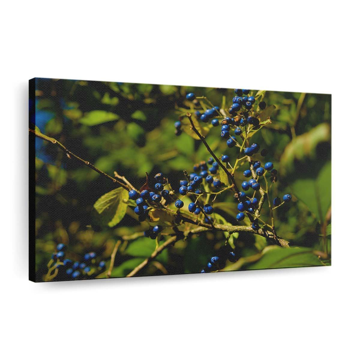 Herbstfarben Beeren Leinwandbilder – Wandbilder autumn colours berries wallpaper