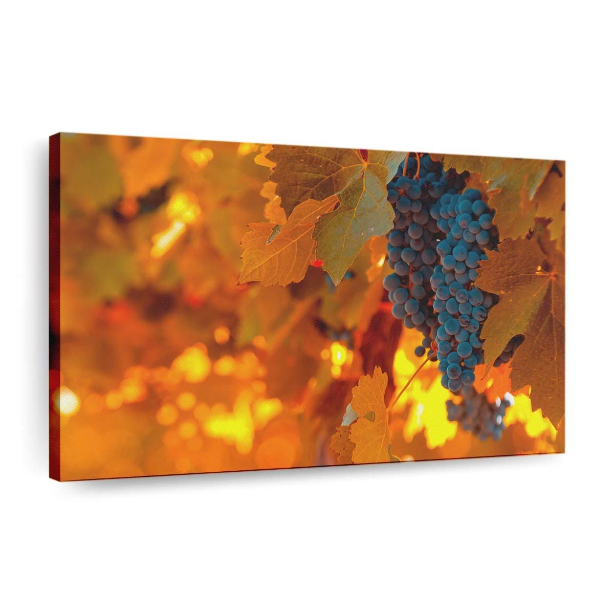 black grapes wallpaper