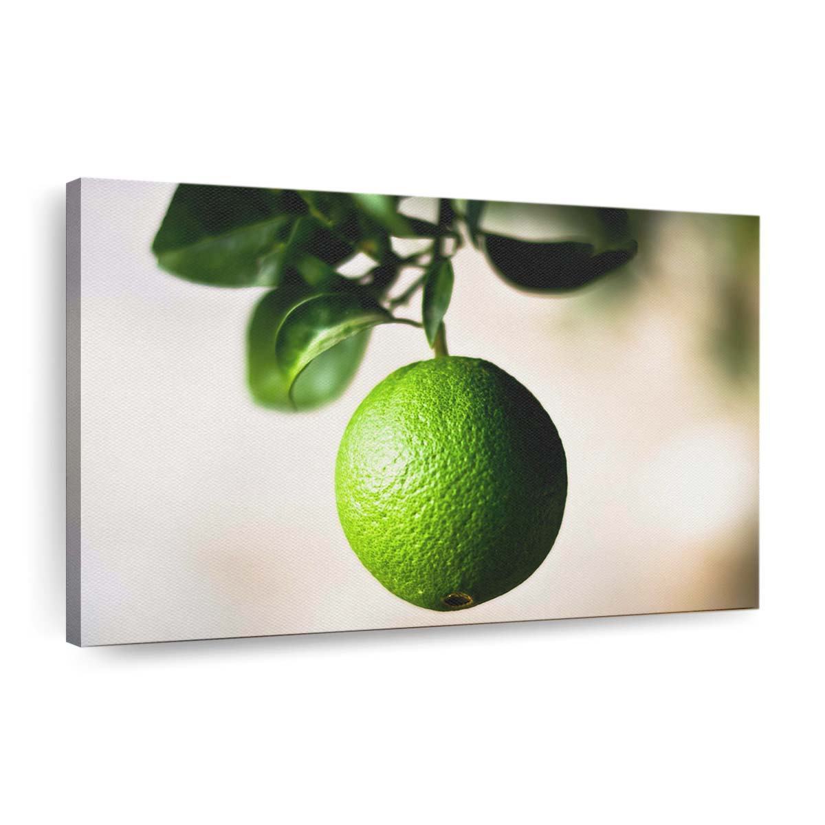 green orange wait wallpaper