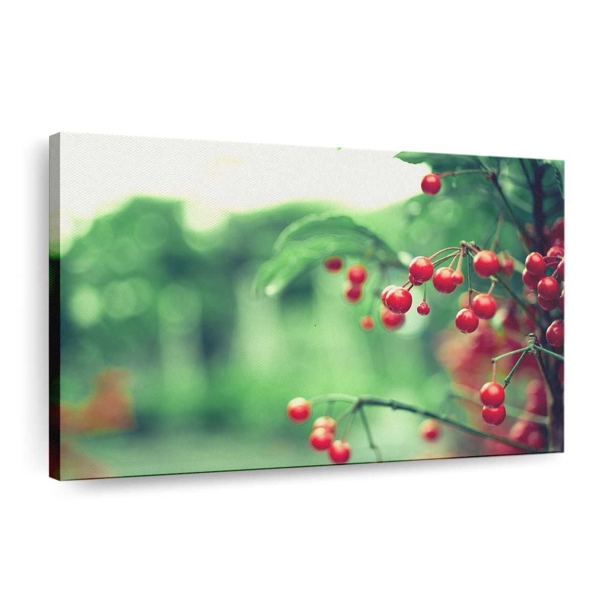 red berries wallpaper