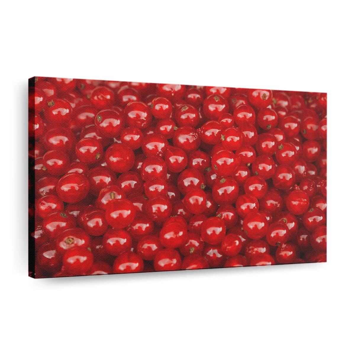 redcurrant berries wallpaper