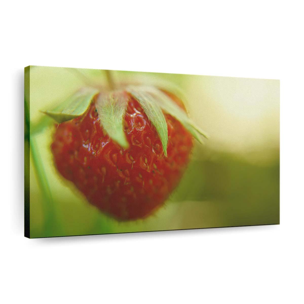 strawberry 5 wallpaper