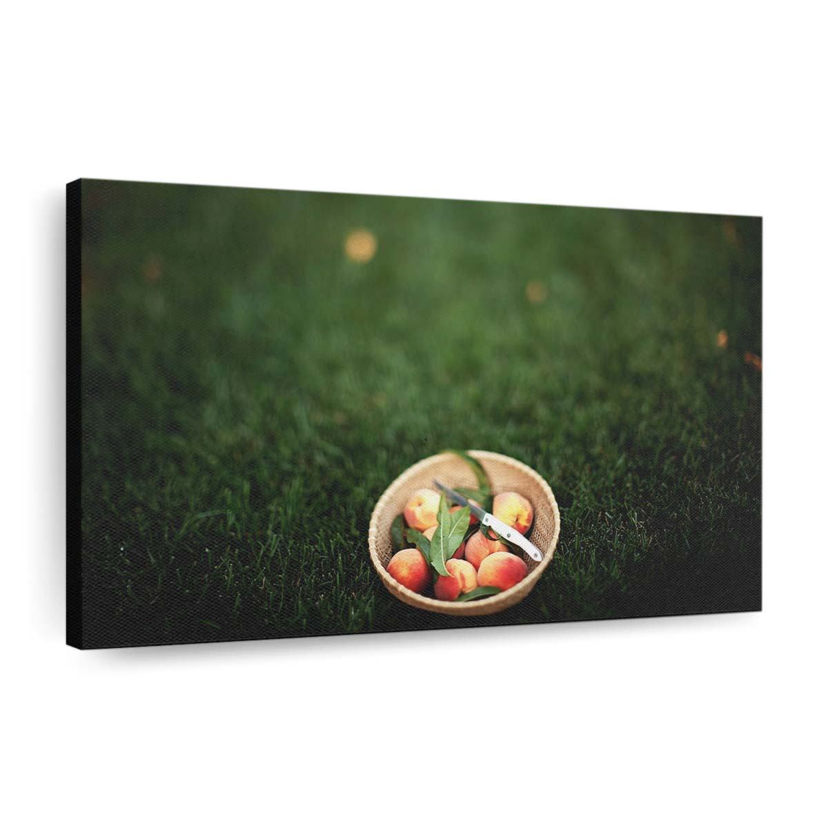 Sommerpfirsiche Leinwandbilder – Wandbilder summer peaches wallpaper