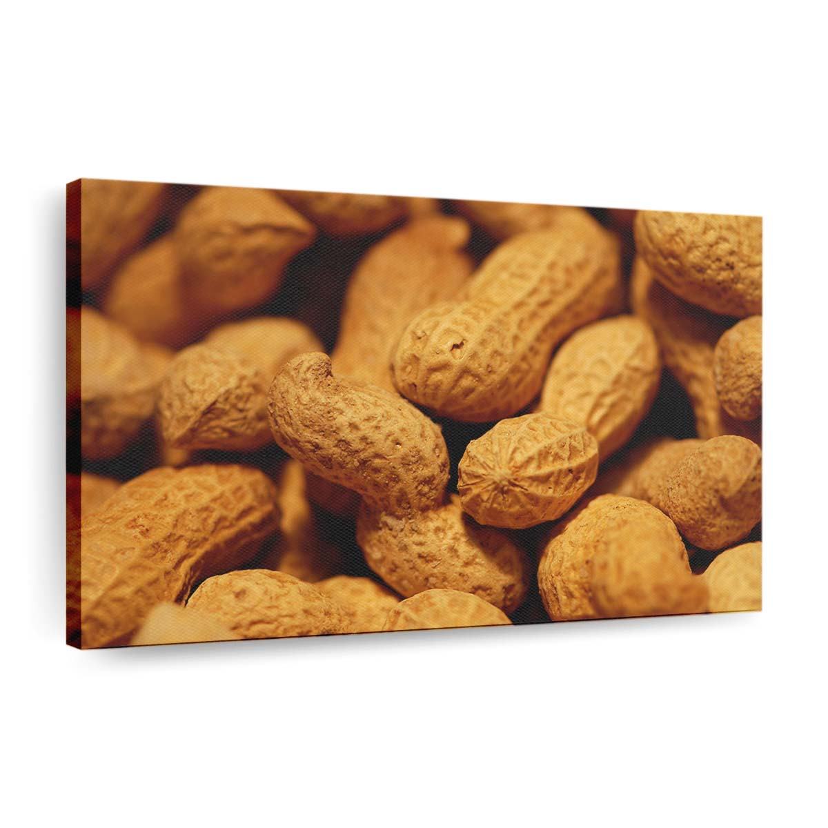 Ungeschälte Erdnüsse Leinwandbilder – Wandbilder unpeeled peanuts wallpaper