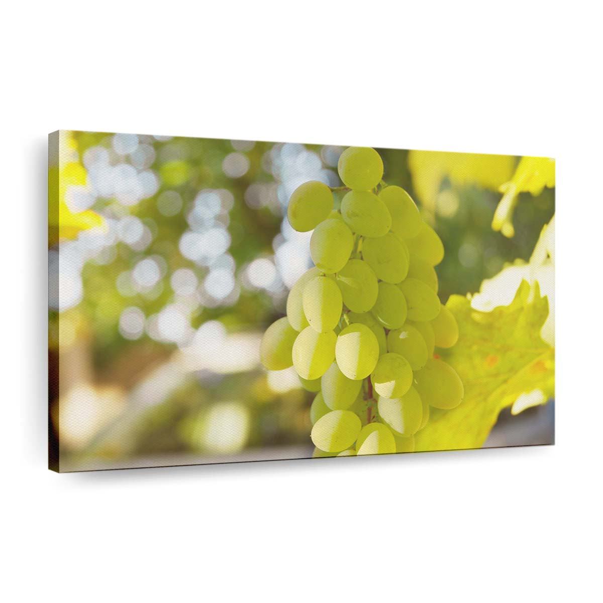 white grape wallpaper