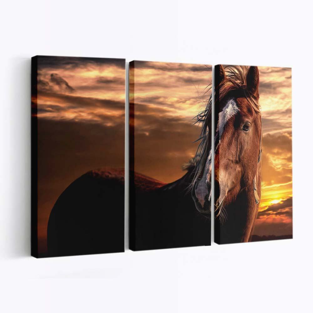 brown horse with white stripe on face wallpaper