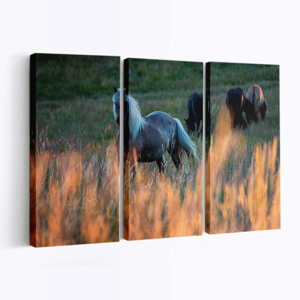 horses field golden grass nature photography wallpaper