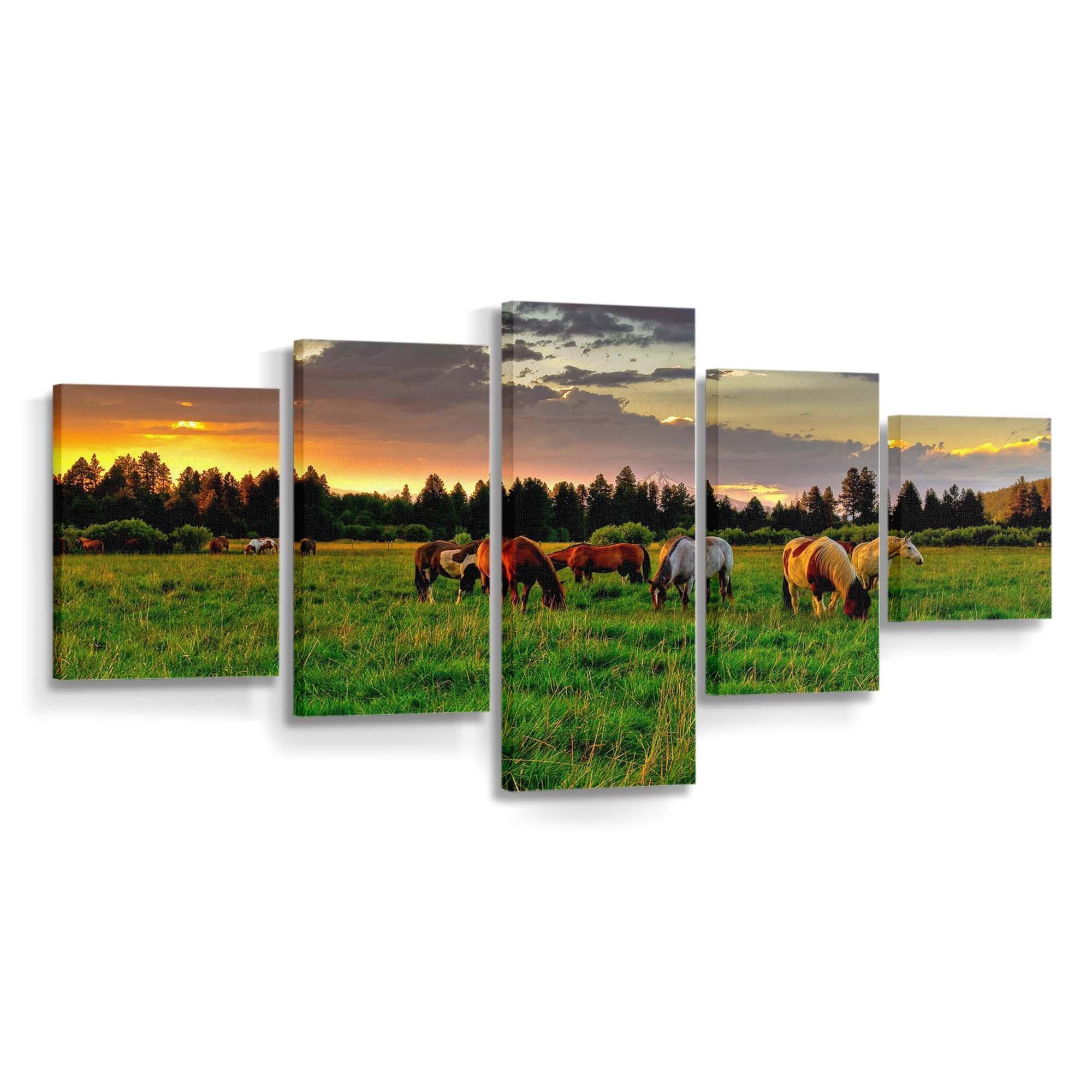 horses grazing in a field wallpaper