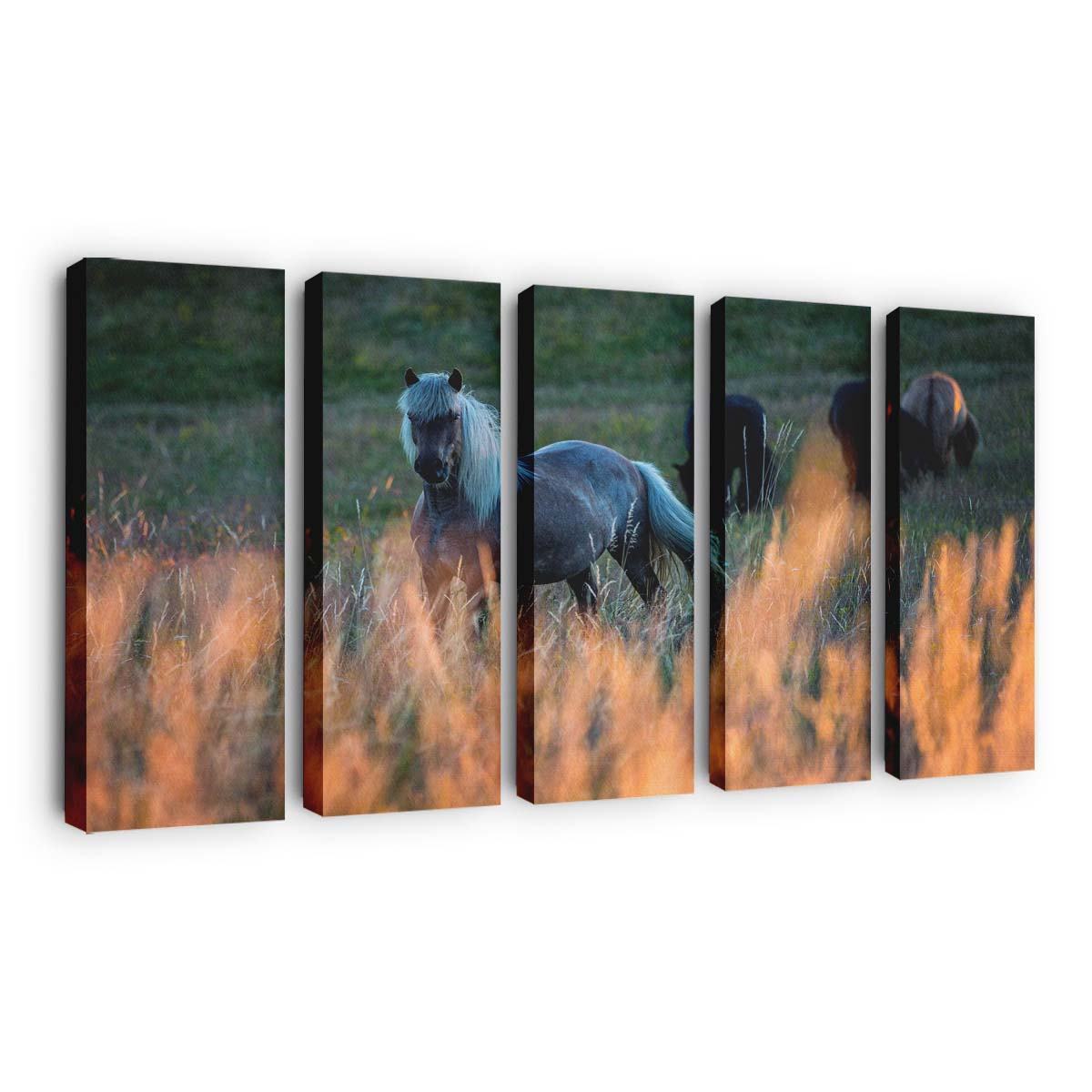 horses field golden grass nature photography wallpaper