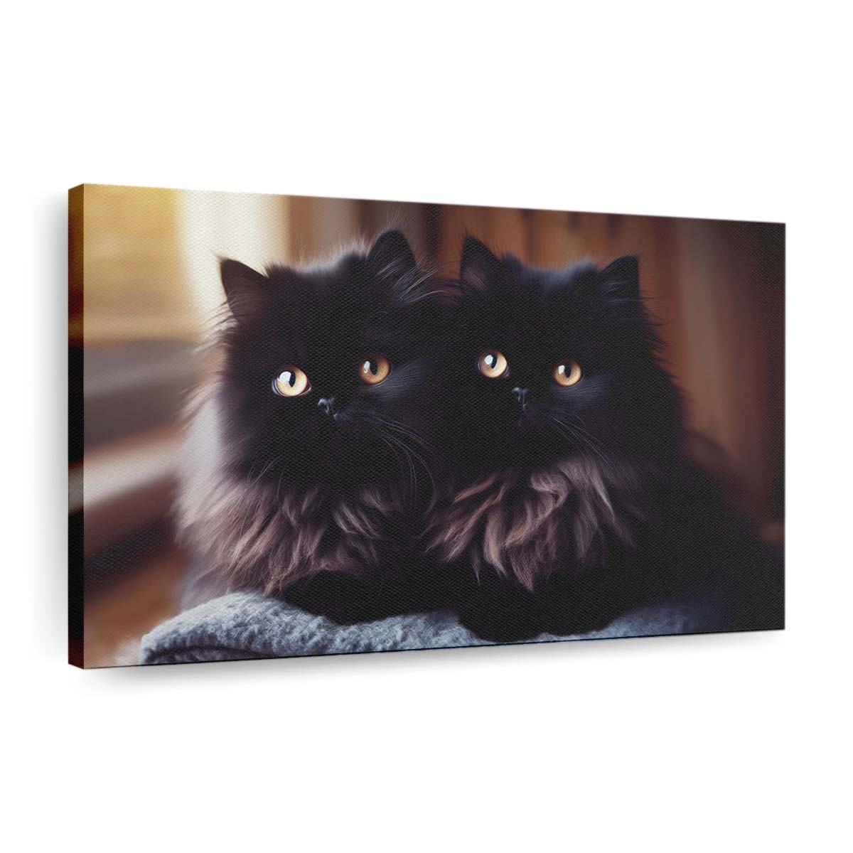 two beautiful sisters black persan kittens wallpaper