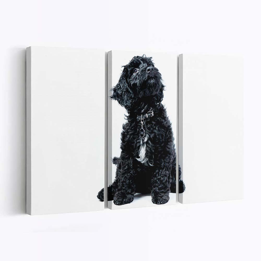 a black cockapoo puppy dog looking up wallpaper