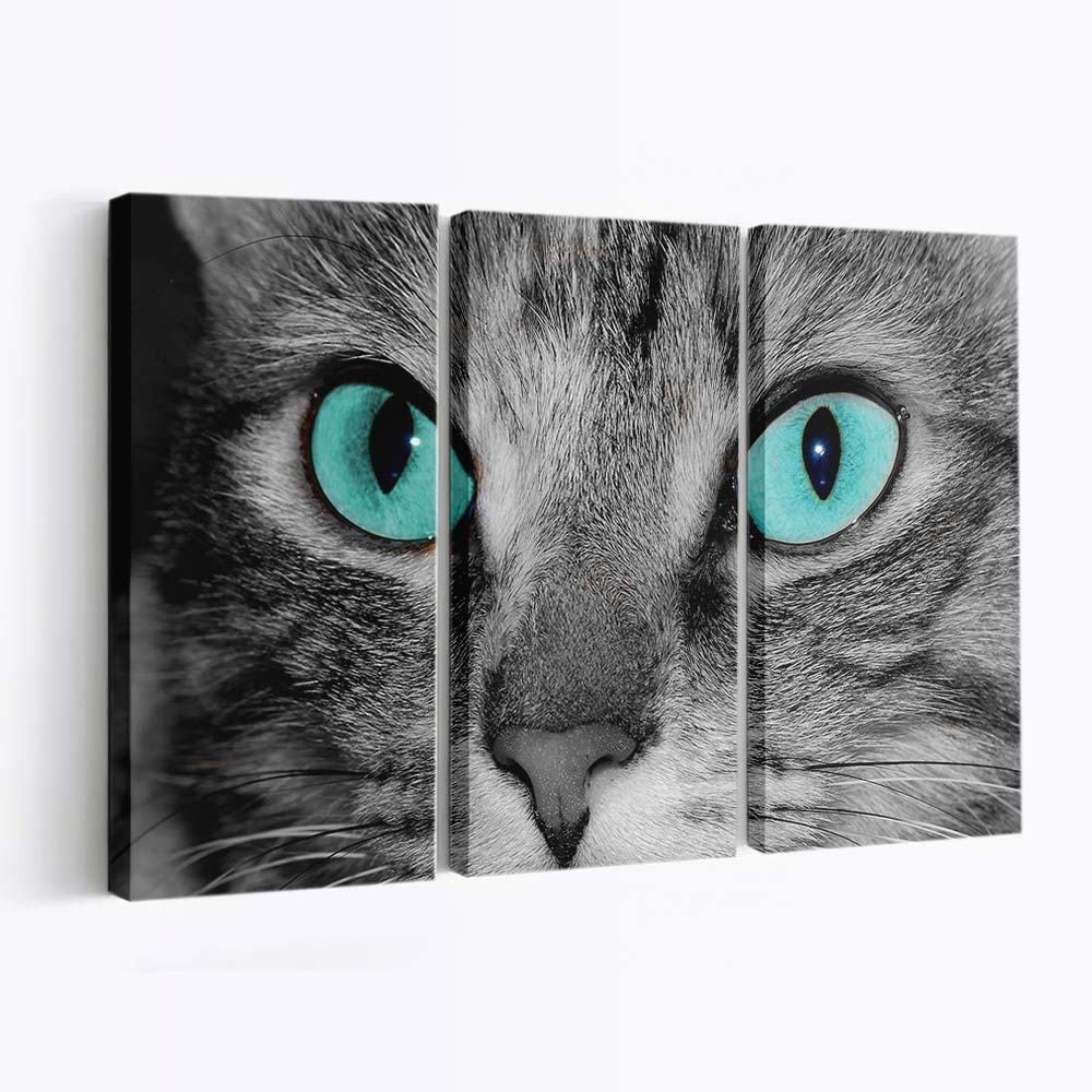 close up of a grey tabby cat face wallpaper