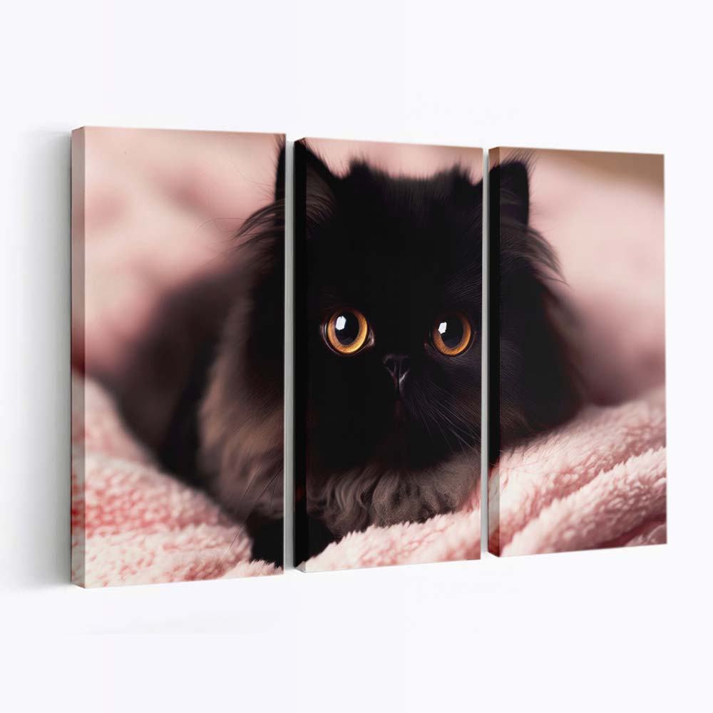 cute black persan kitten with big beautiful eyes wallpaper