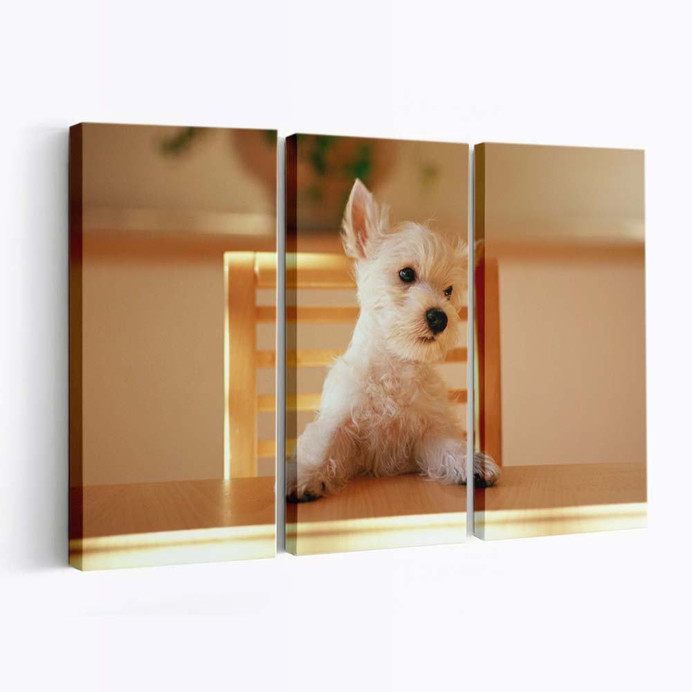 dog sitting on a chair at the table wallpaper