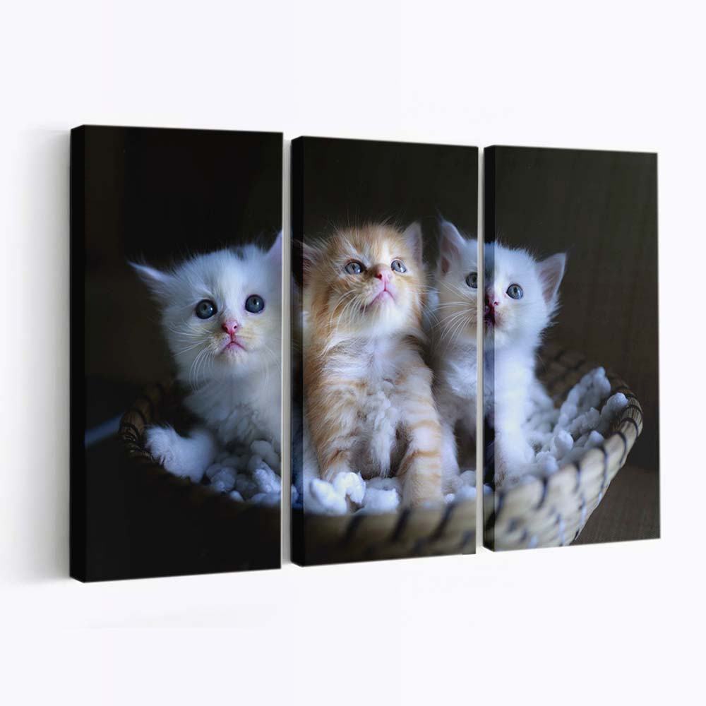 three adorable kittens in a small basket wallpaper