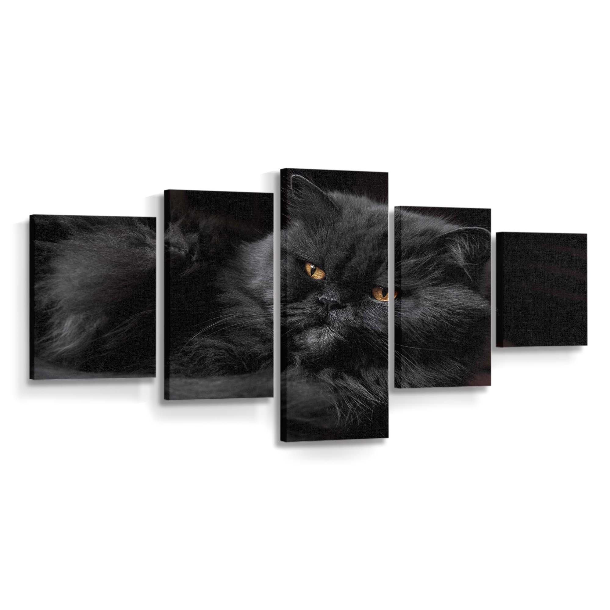 beautiful doll face persian cat fluffy black fur golden eyes wallpaper