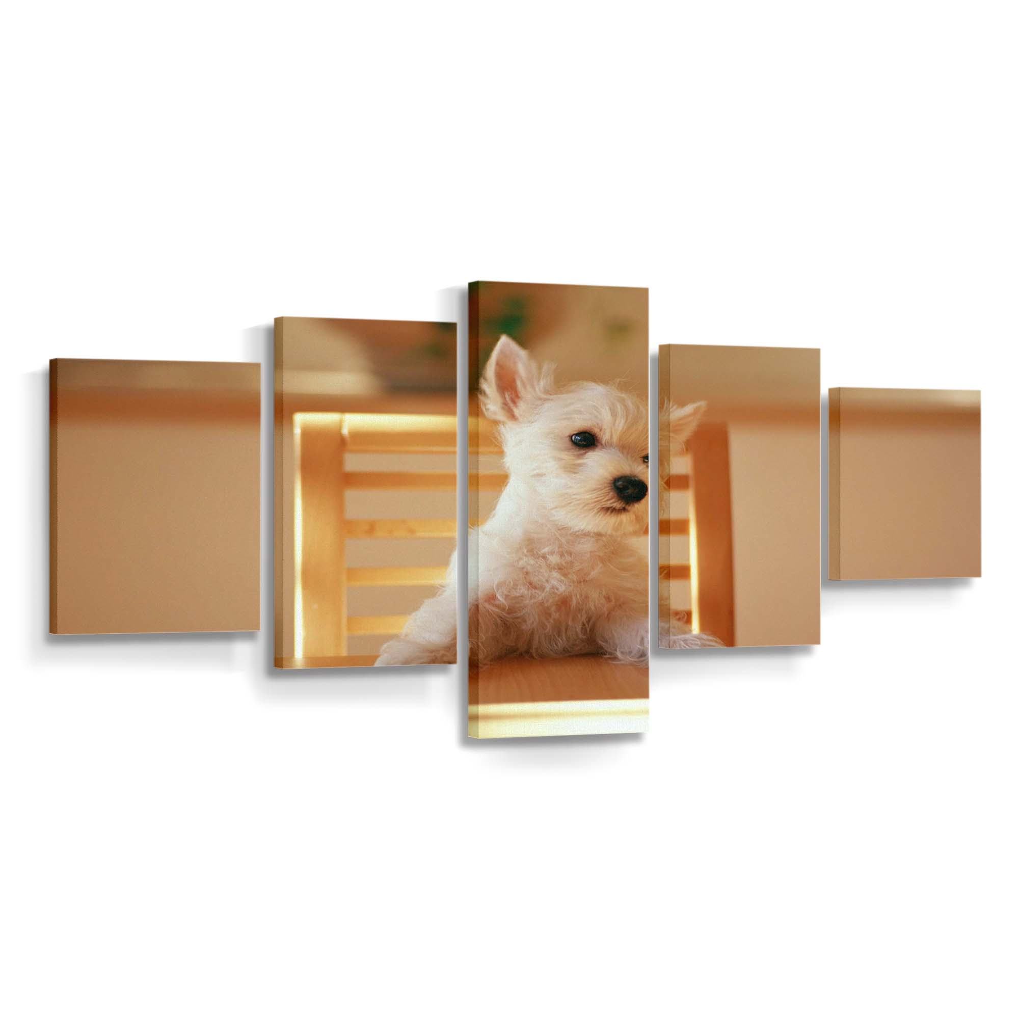 dog sitting on a chair at the table wallpaper