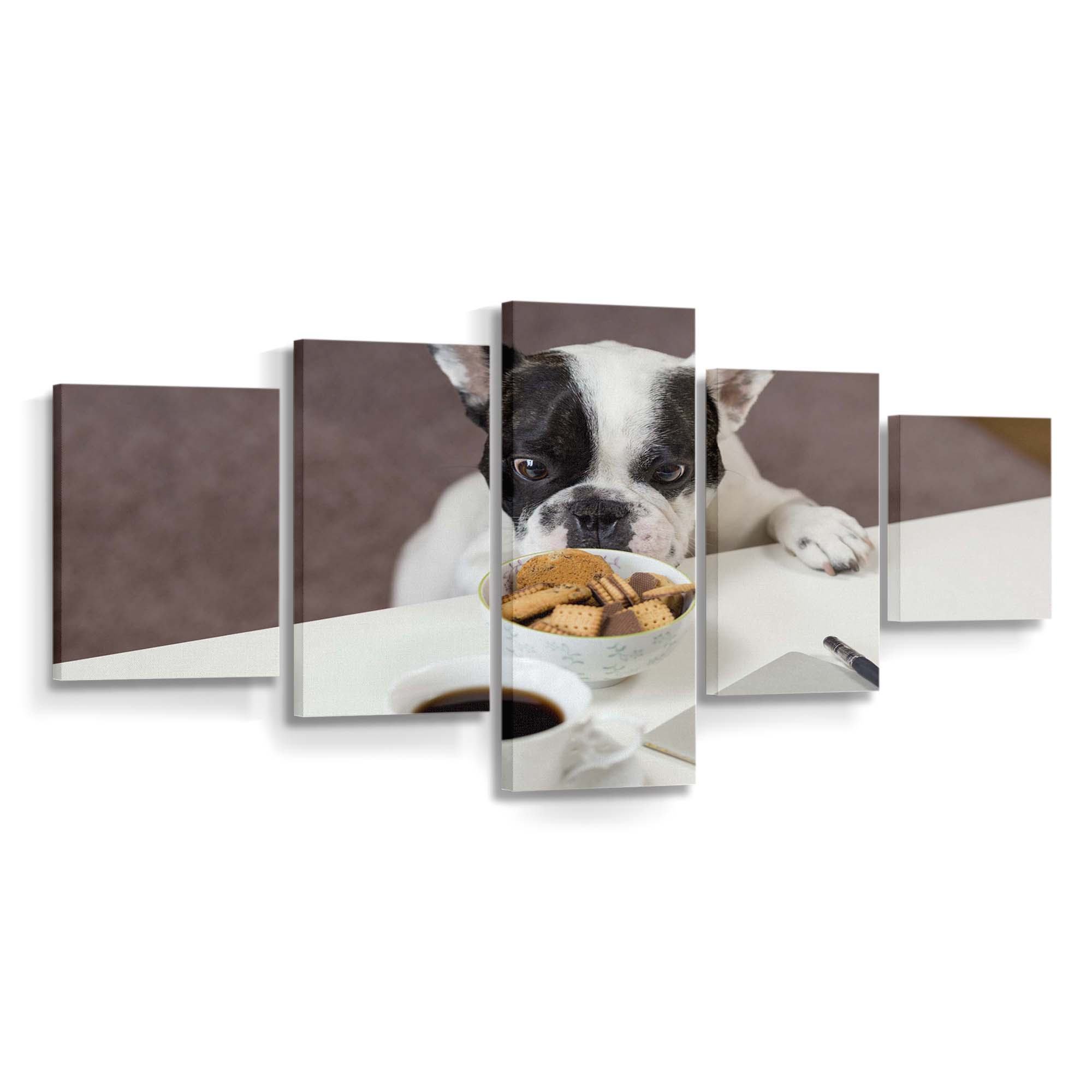 funny french bulldog trying to steal biscuits wallpaper