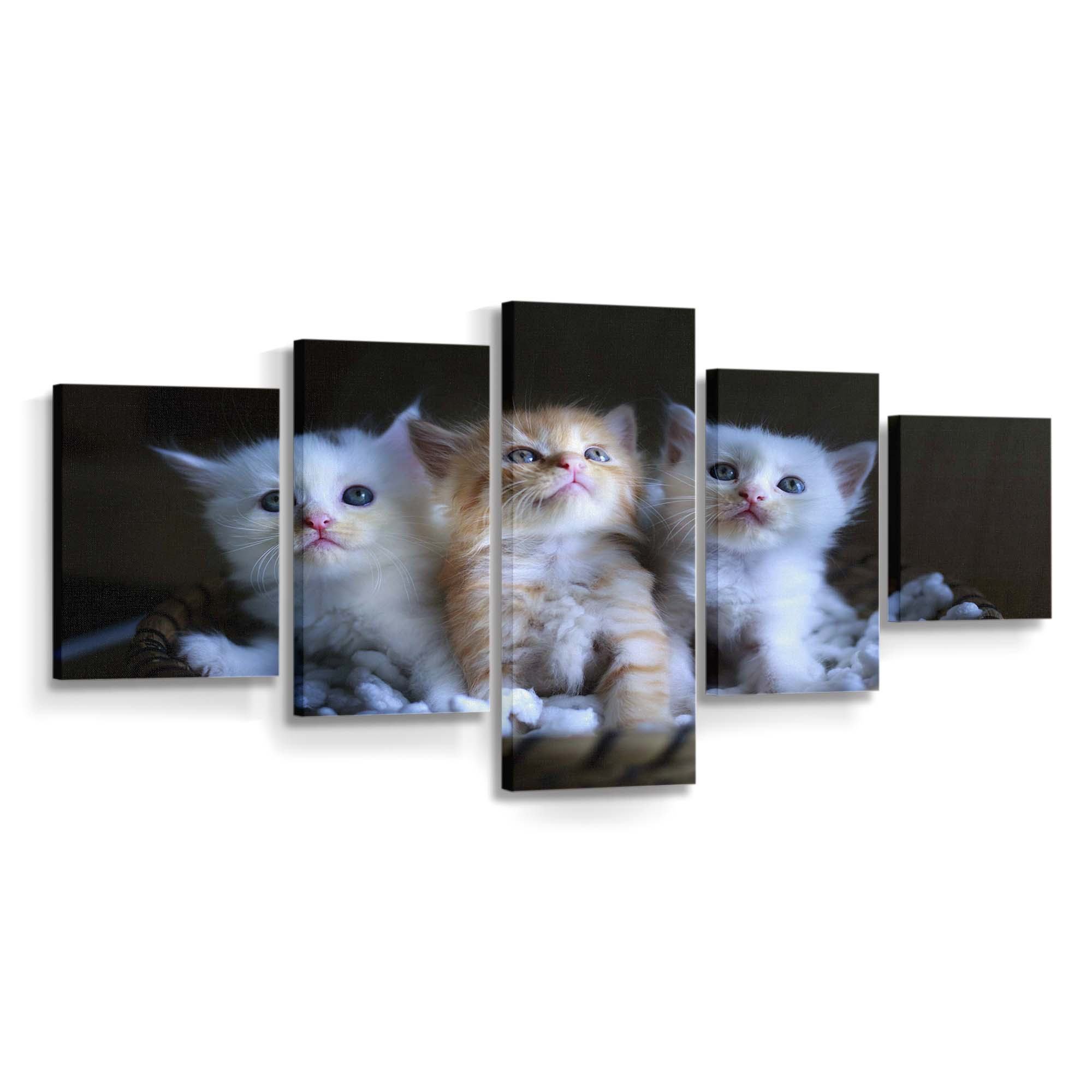 three adorable kittens in a small basket wallpaper